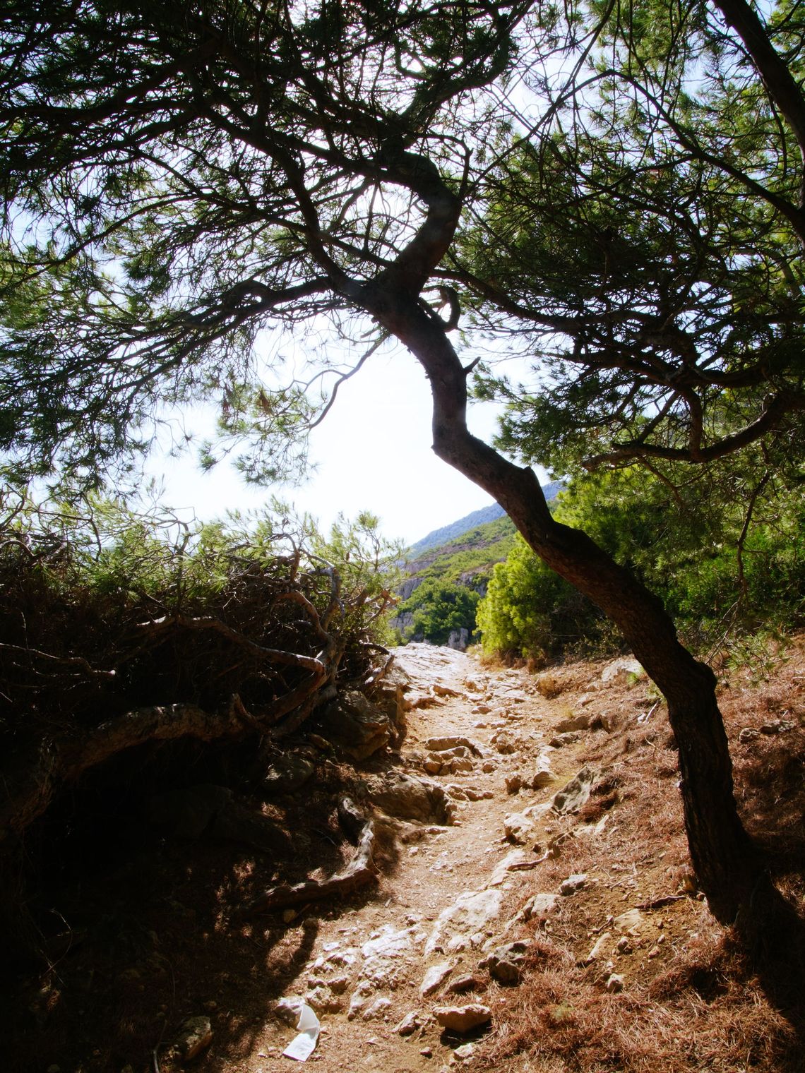 Parc National des Calanques
