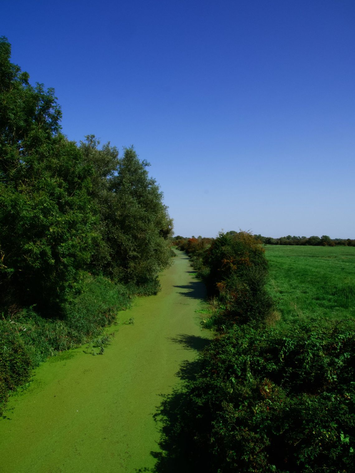 Lewes to Seaford, England, UK