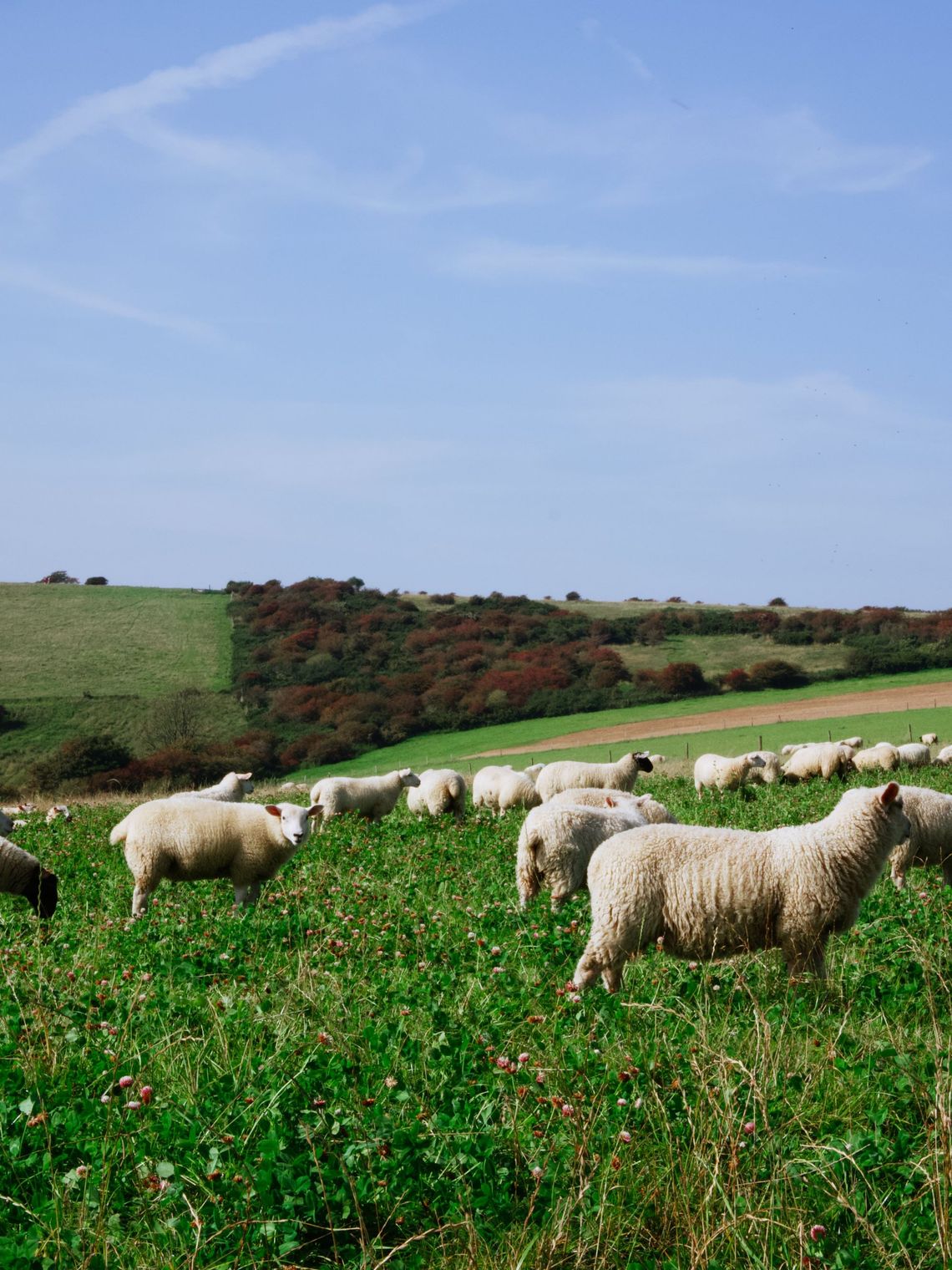 Lewes to Seaford, England, UK