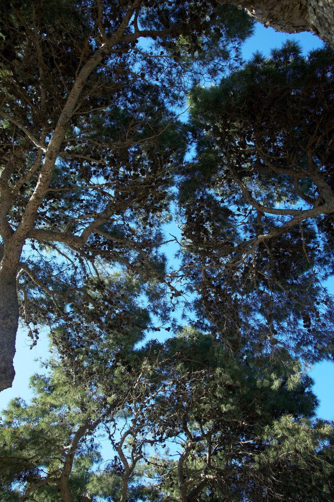 Rabat, Malta