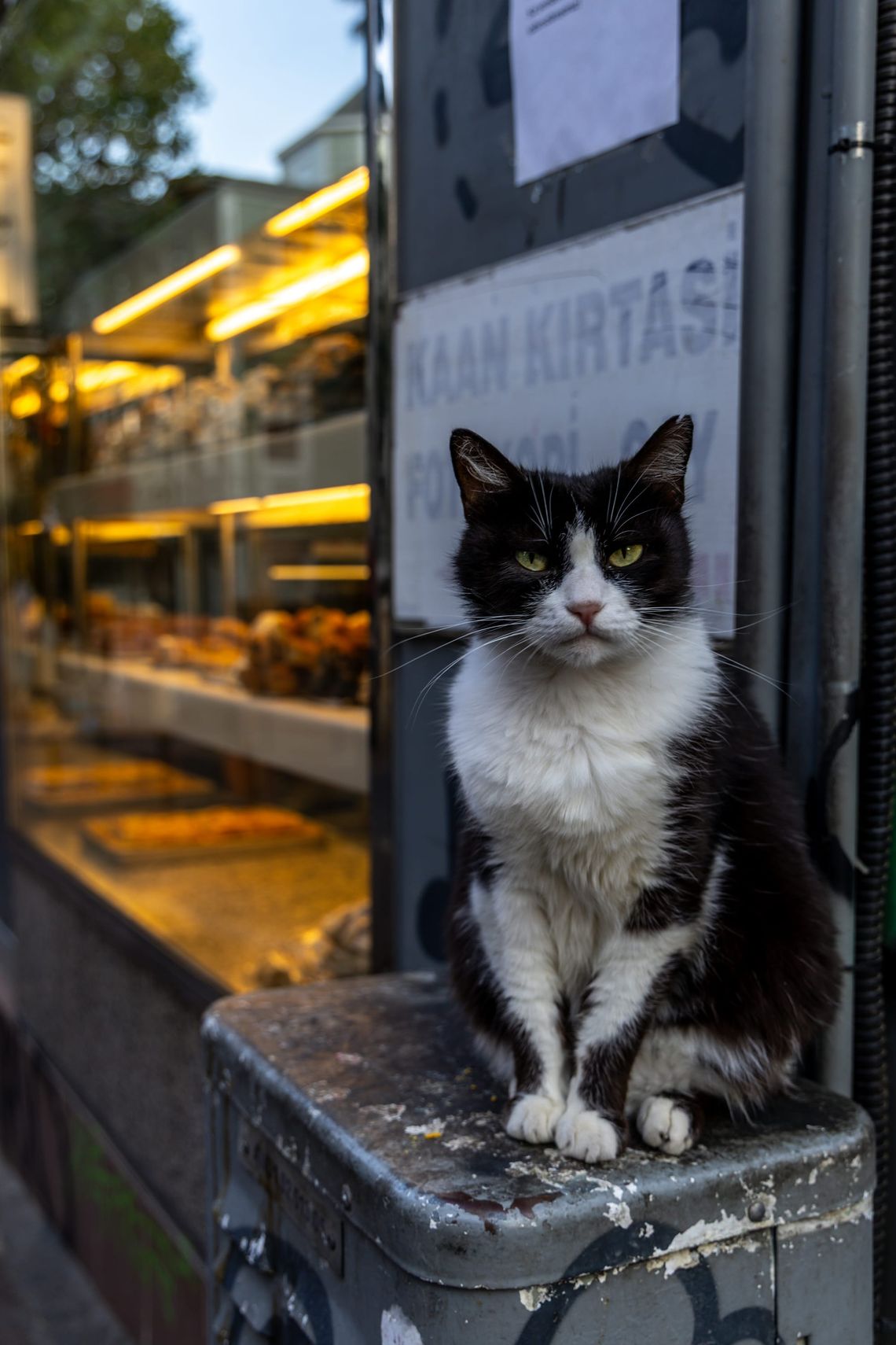 Istanbul, Türkiye