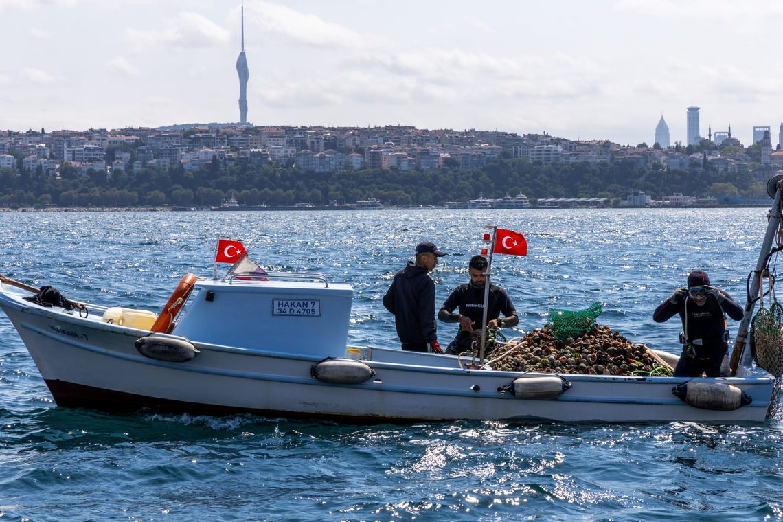 Istanbul, Türkiye