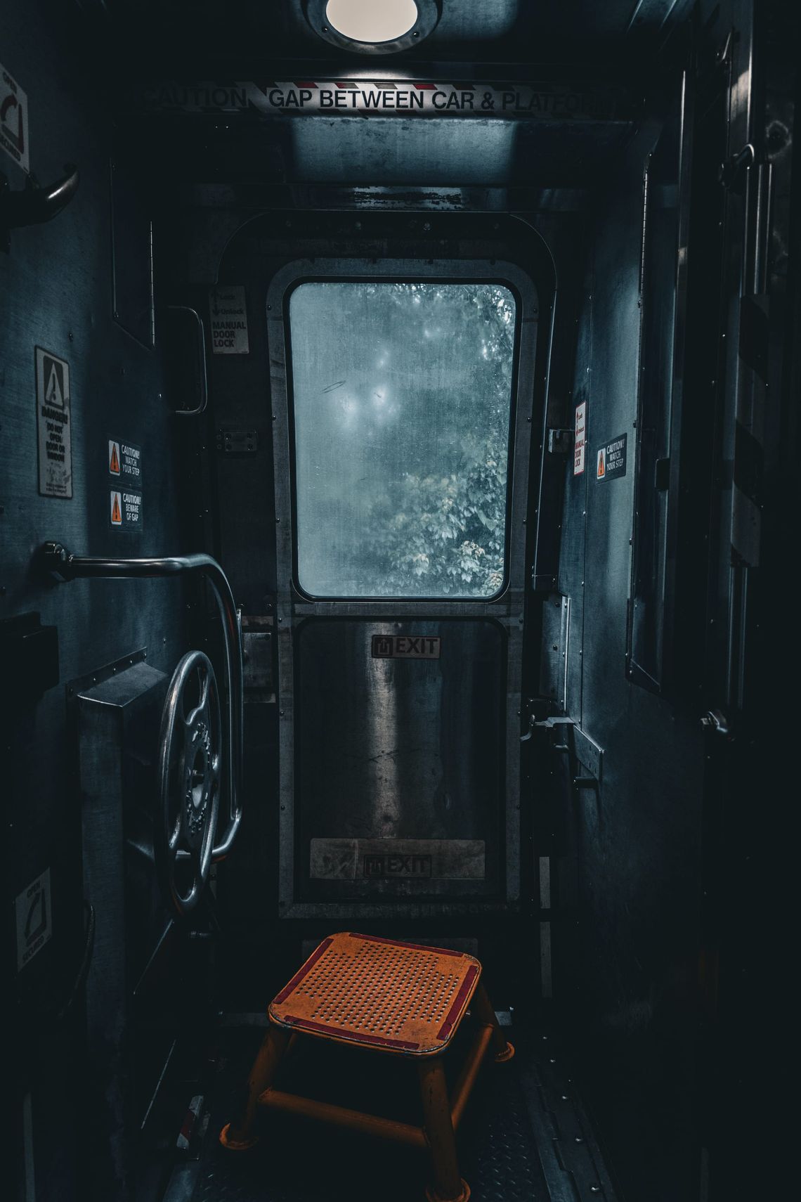 The Floridian, Amtrak.