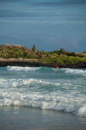 Puerto Ayora, Ecuador