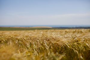 South Downs National Park, England