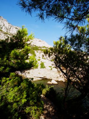 Parc National des Calanques