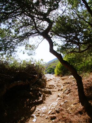 Parc National des Calanques