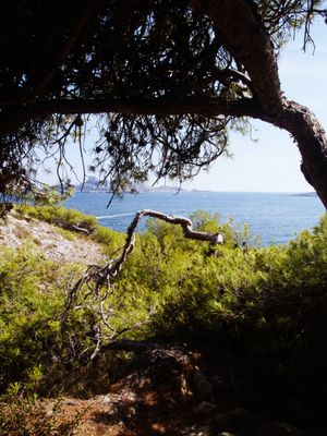 Parc National des Calanques