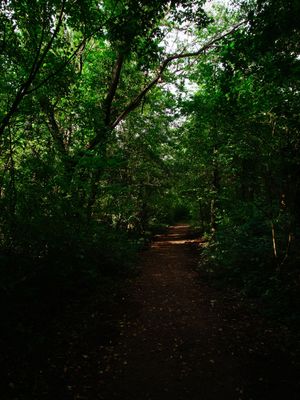 Schengen, Luxembourg
