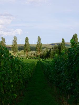 Remerschen, Luxembourg