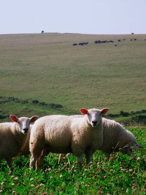 Lewes to Seaford, England, UK