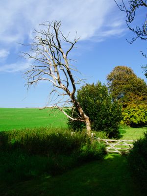 Lewes to Seaford, England, UK