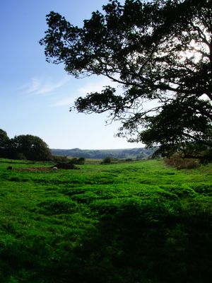 Lewes to Seaford, England, UK