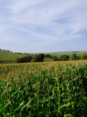 Lewes to Seaford, England, UK