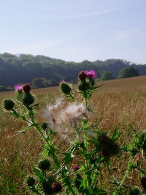 Lewes to Seaford, England, UK