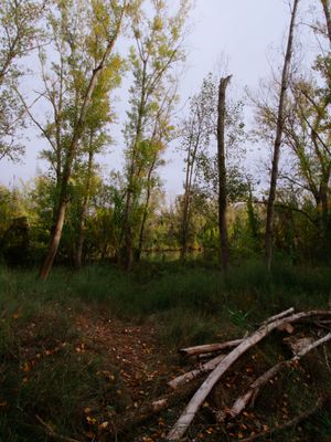 Lleida (Catalonia, Spain)