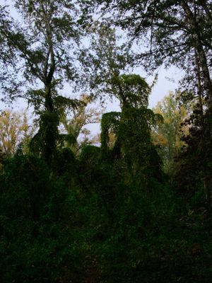 Lleida (Catalonia, Spain)