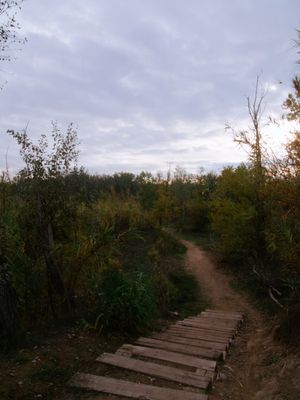 Lleida (Catalonia, Spain)