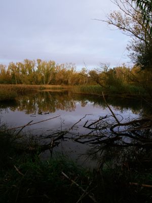 Lleida (Catalonia, Spain)