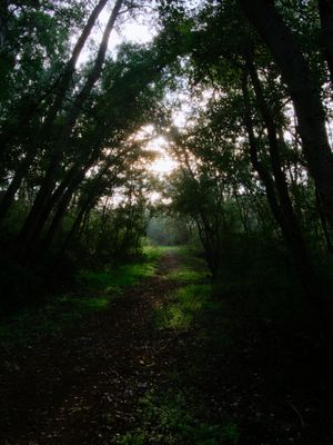 Lleida (Catalonia, Spain)