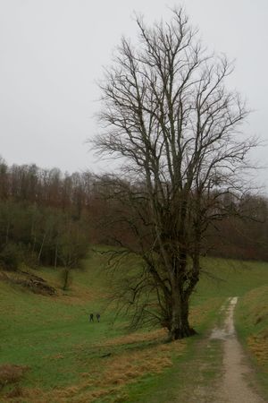 Arundel, England, UK