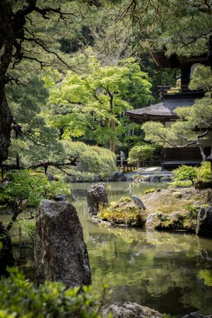 Kyoto, Japan