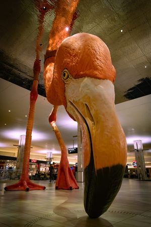 Tampa, FL (United States)