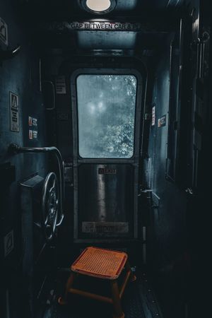 The Floridian, Amtrak.