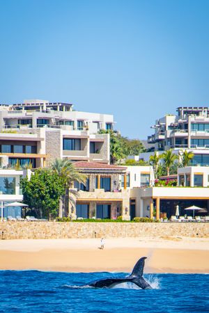 Cabo San Lucas, BCS, México