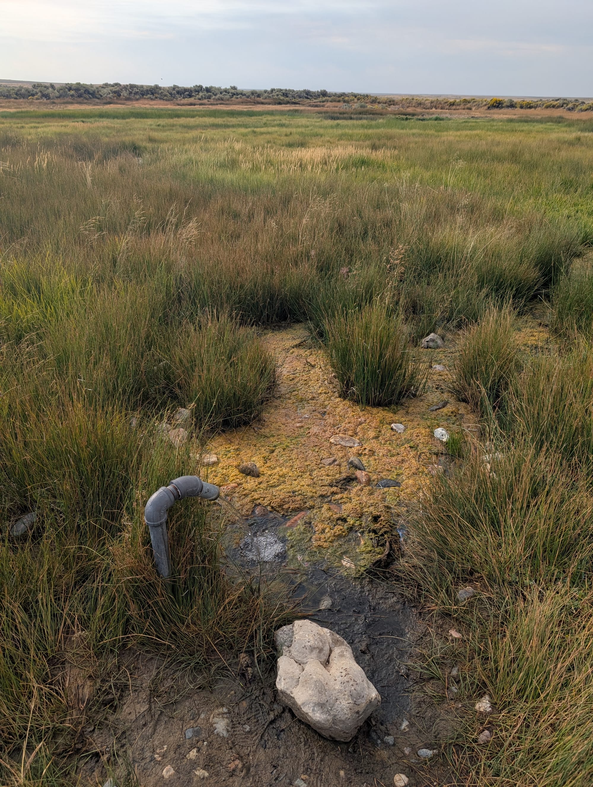 Only water source for a hundred plus miles