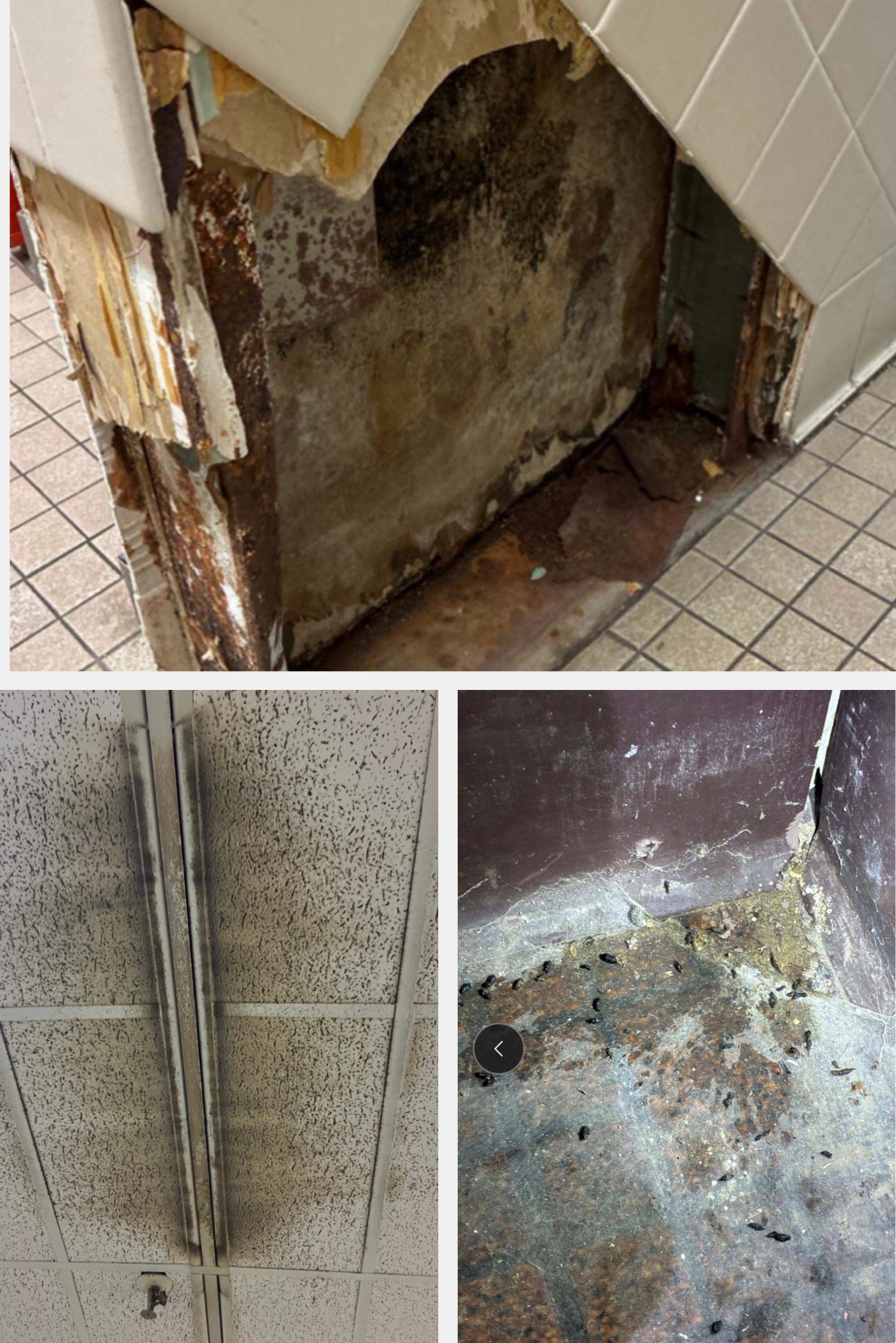 Three images show a portion of a wall with tile layers of tile fallen away and mottled dirty interior; a ceiling vent with acoustic tiles covered in brown dirt and dust; rodent droppings