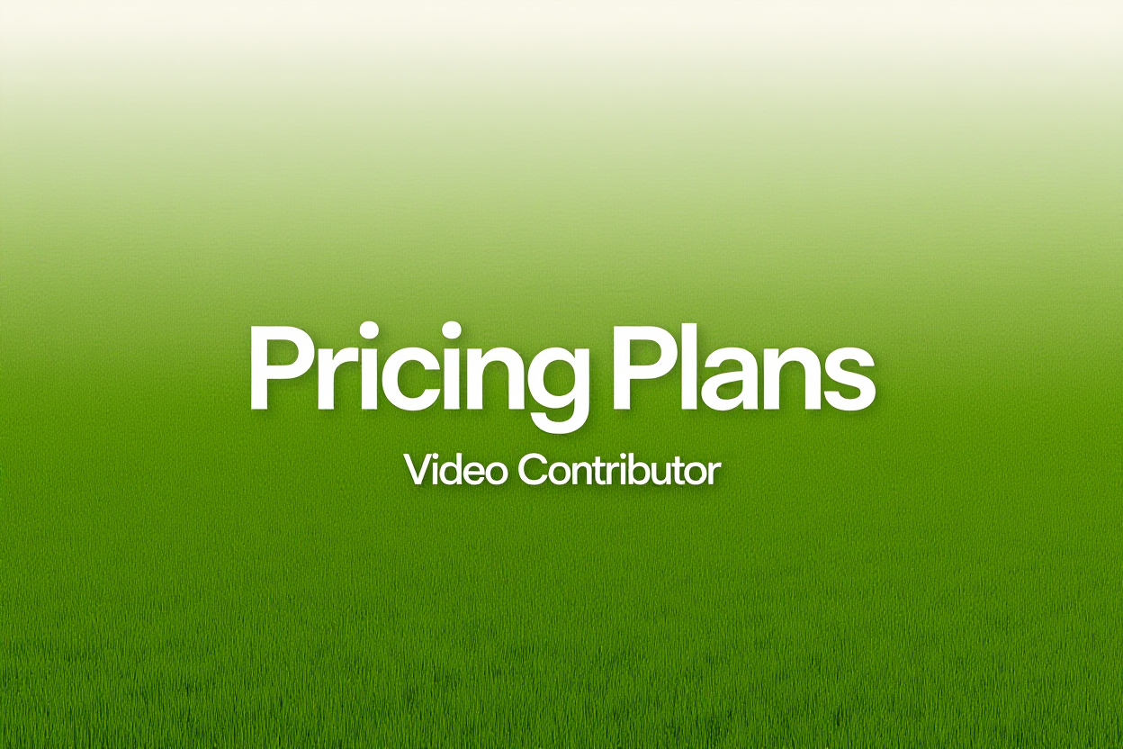 a simple realistic photo representing Pricing Plans and Credits for Video Contributors