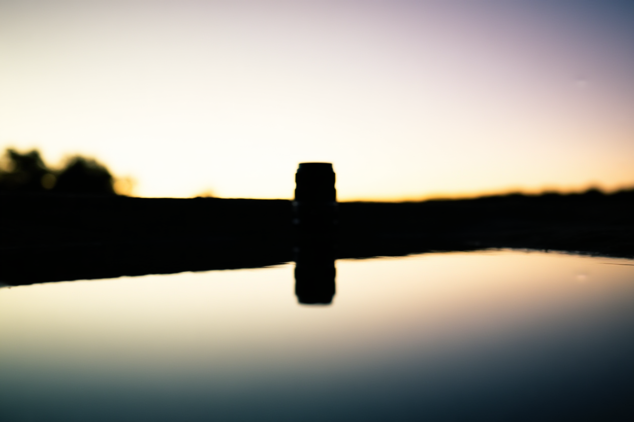 a camera lens focused on glowing neon signs reflecting in a puddle, soft natural light, wide landscape shot
