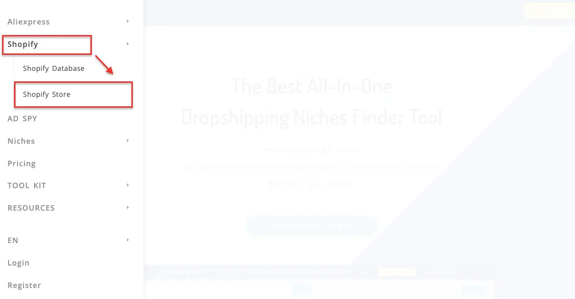 Keywords: How To Find Shopify Stores 6