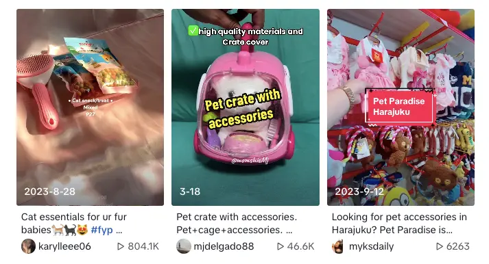 TikTok Dropshipping 3