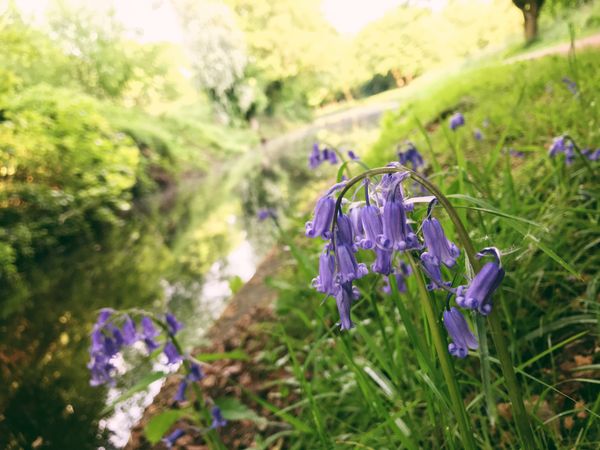 Couch to 5K: about half way