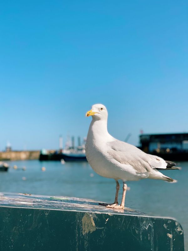 Bridlington, May 2023