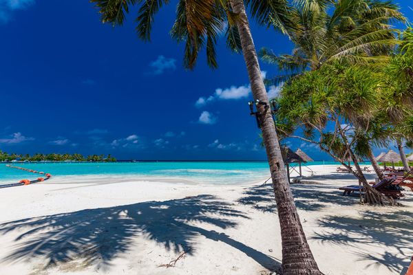 Maldives Travel Guide