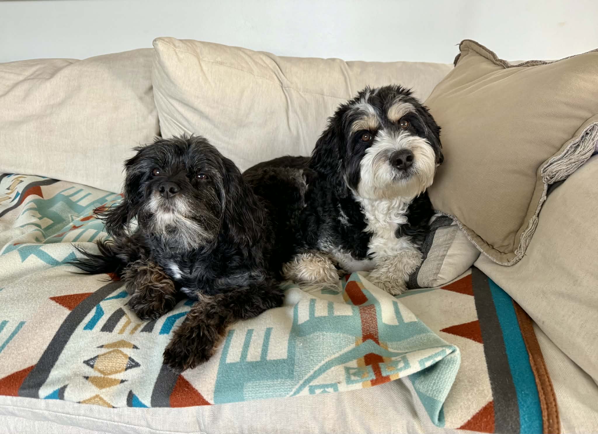 Let Go and Let Oh My GOD