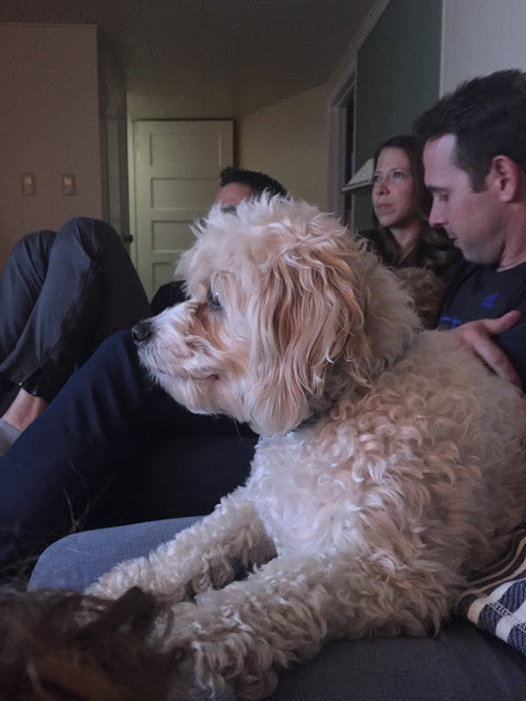 Pictures from my Phone & Weekly Distractions