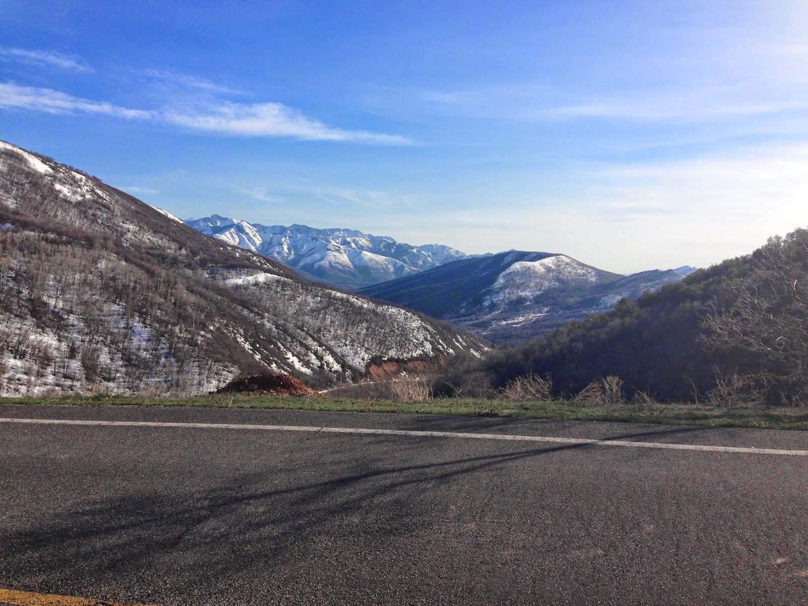 Pictures from my Phone & Weekly Distractions