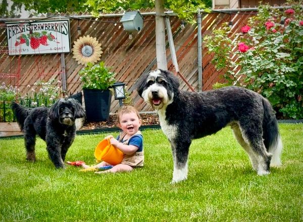 The Magic of Doing Things