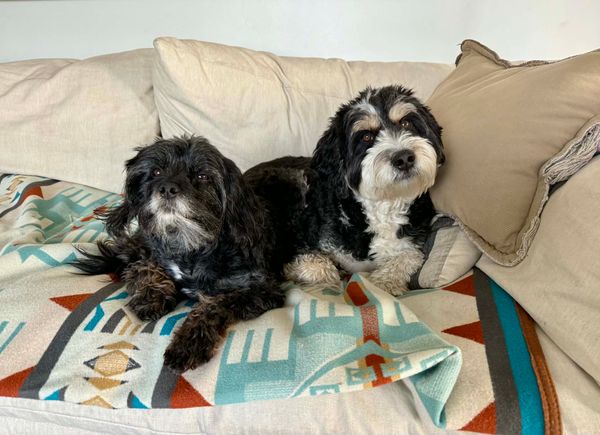 Let Go and Let Oh My GOD