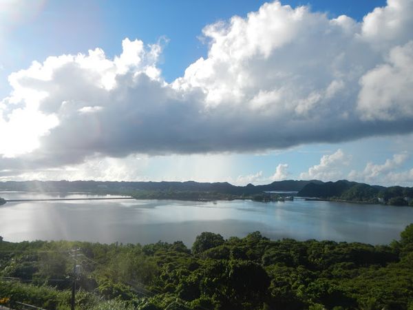 Pictures & Weekly Distractions