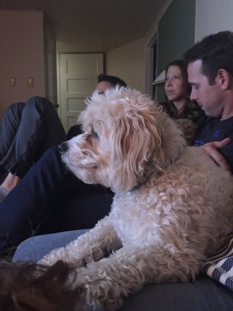 Pictures from my Phone & Weekly Distractions