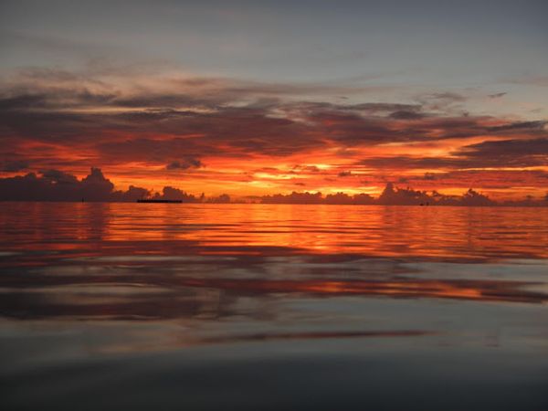 The Best and Worst of Palau