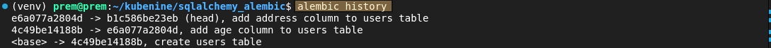 Alembic upgrade and downgrade migration execution output