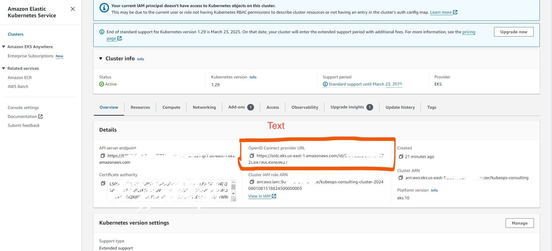 EKS cluster details in AWS console showing OIDC provider URL for identity federation