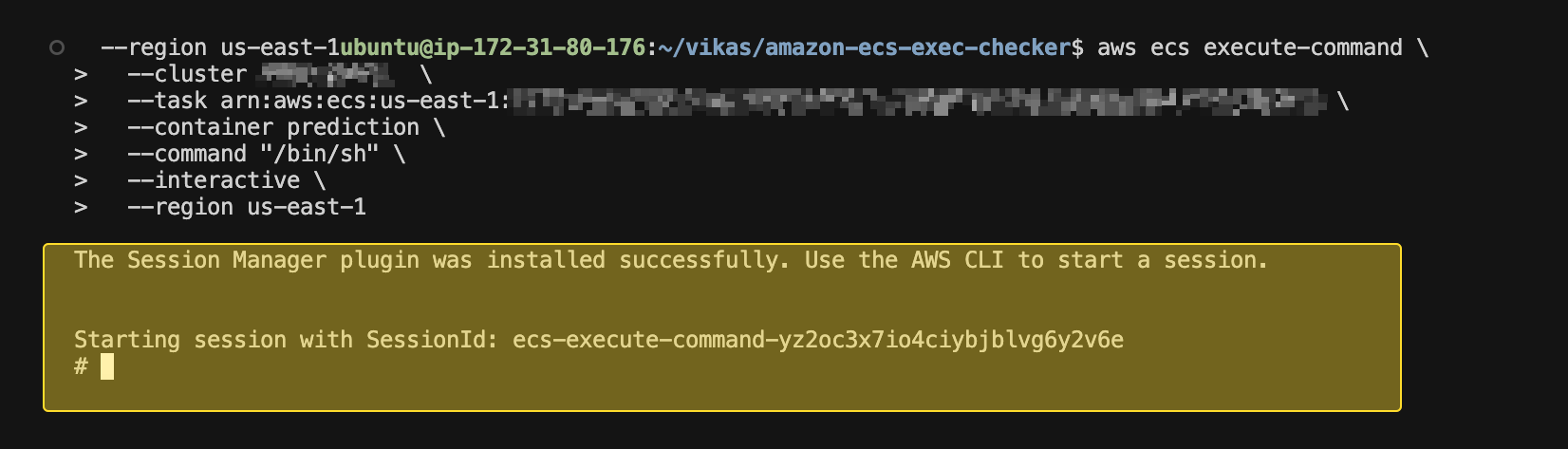 AWS CLI ecs execute-command connecting to Fargate container