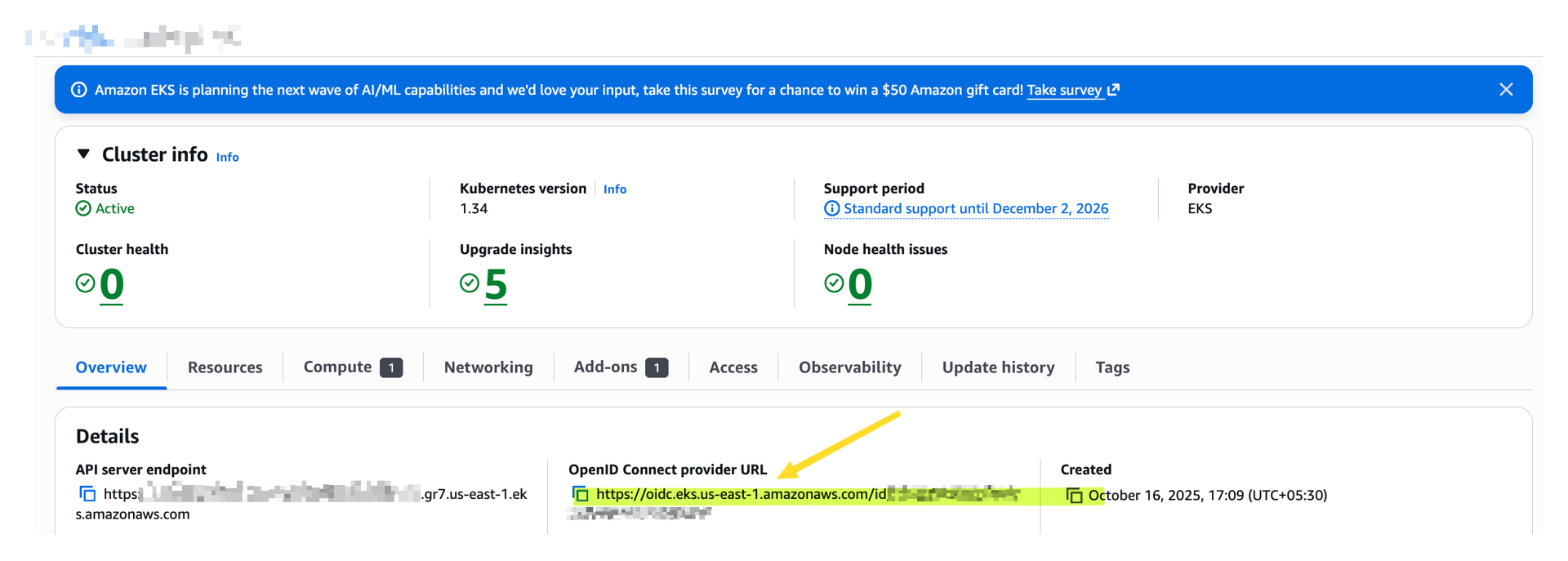 AWS console showing EKS cluster OIDC provider URL configuration for IRSA setup